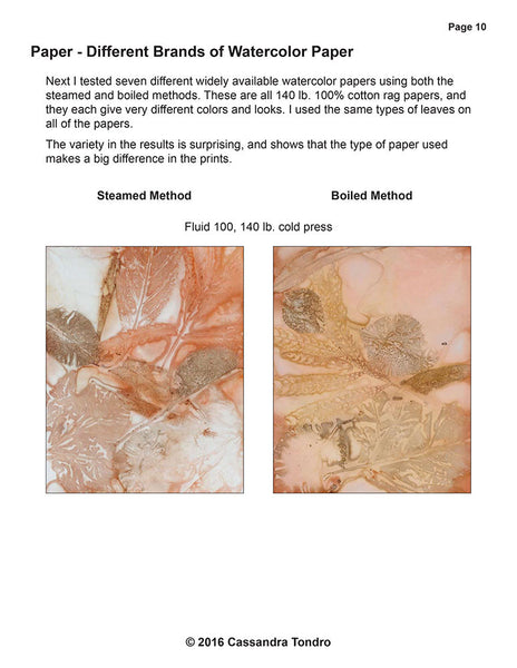 Leaf Print Tests on Paper Tutorial 