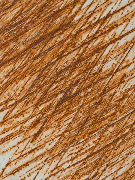 Cassandra Tondro, "Crossfire," rust art