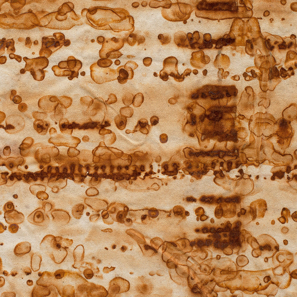 Cassandra Tondro, "Airstream," rust art