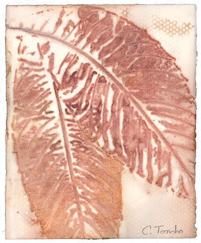 Cassandra Tondro Loquat leaf print green art