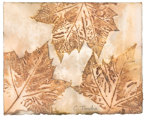 Cassandra Tondro London Plane leaf print contemporary art