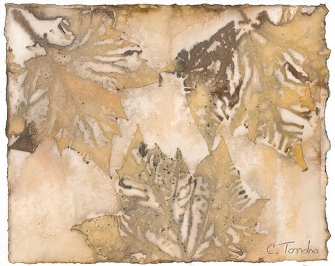 "London Plane," original botanical leaf print, 8" x 10"