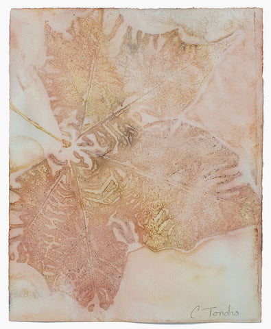 Cassandra Tondro leaf print