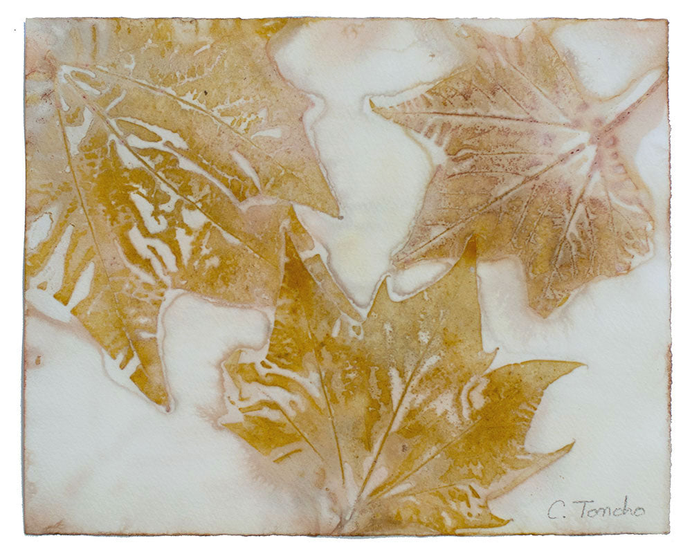 Cassandra Tondro leaf print