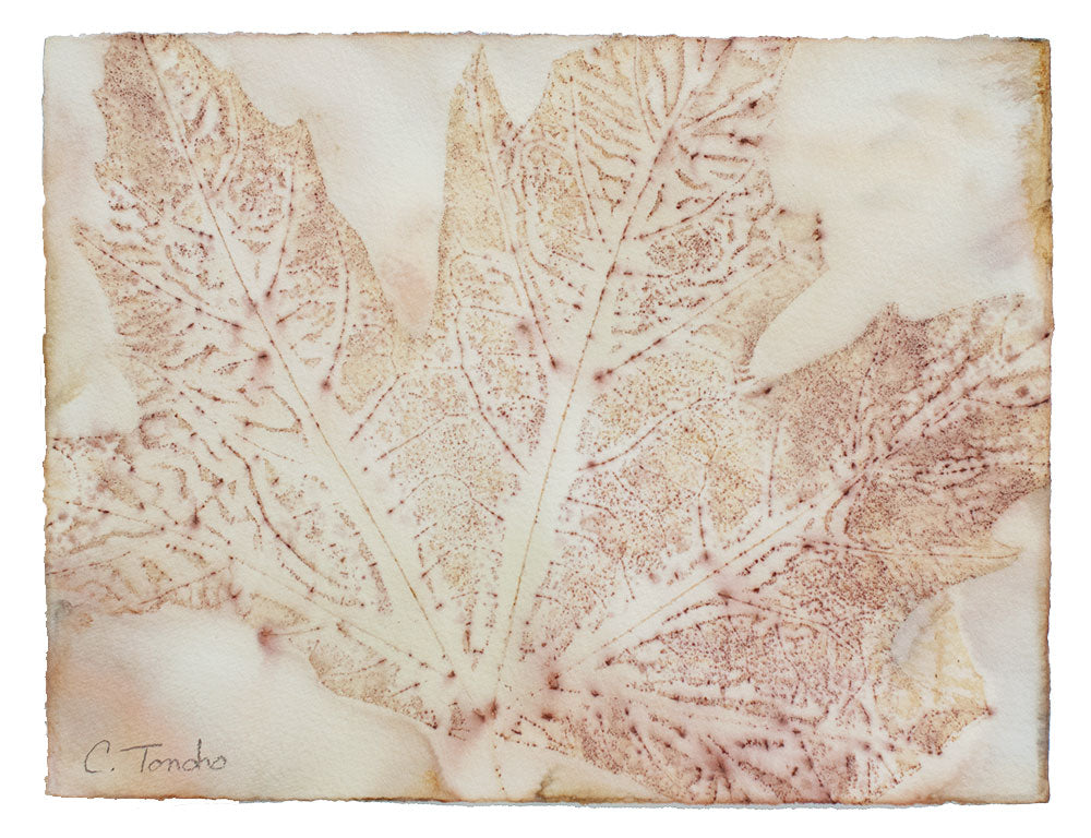 Cassandra Tondro leaf print